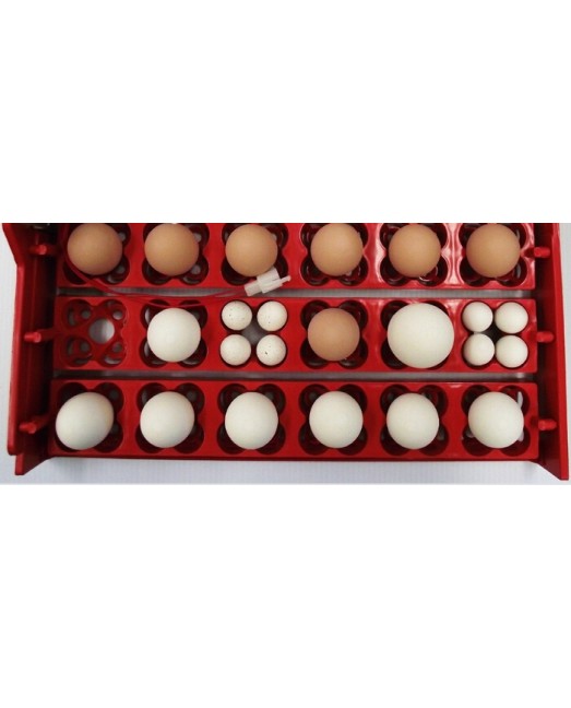 Комплект лотков на 36/144 яиц (универсальный)
